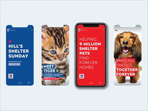 以愛為筆，以食為畫——專訪寵物食品包裝設計師